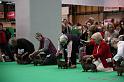 Crufts2011_2 1555